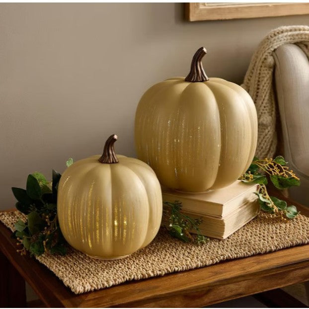 đTwinkle Light Pumpkins
