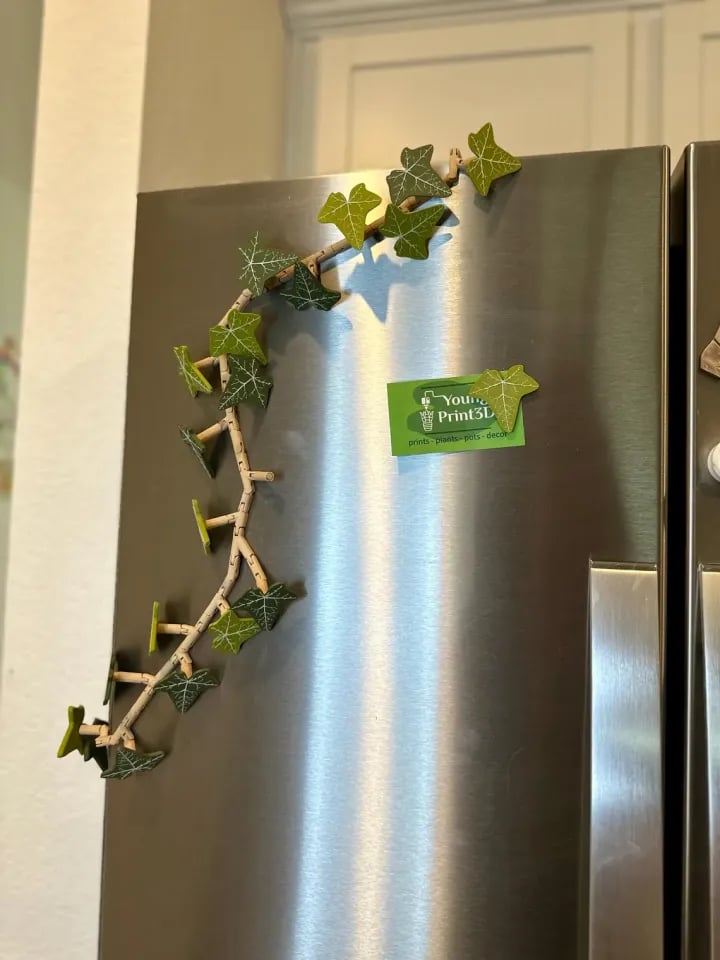 3D Ivy Fridge Magnets