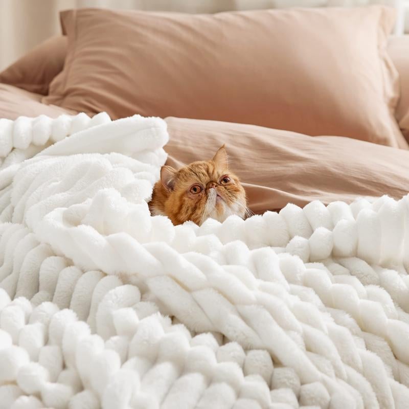 ✨Discover the Ultimate Striped Flannel Fleece Blanket – Your Cozy Companion for Every Season! 🌈🧣