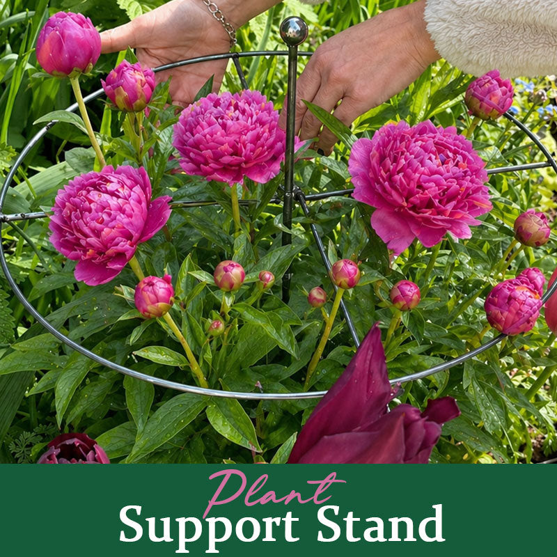 📢📢Summer Special: Plant Stands 49% Off🌷