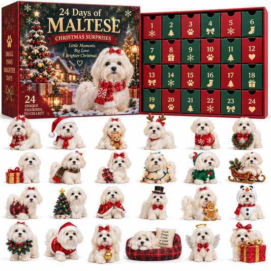 24 Days of Maltese Joy – A Christmas Collection of Little Moments & Big Love🐾
