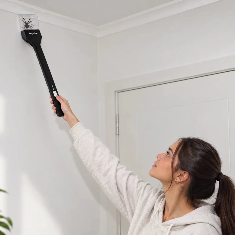 🕷️ Humane Spider & Bug Catcher | 75cm Long-Handle Release Tool
